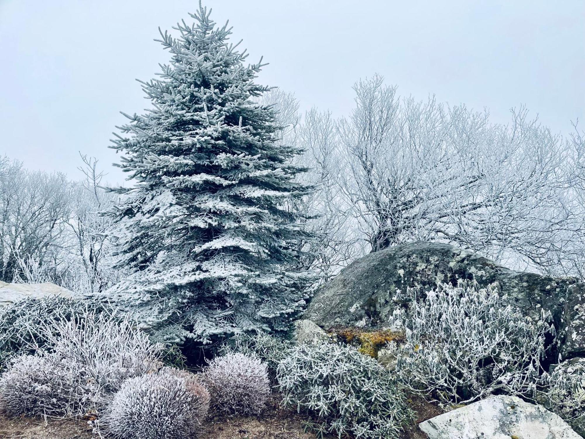 Bucket List Views Sugar Mountain Private Condo - 2Bed, 2Bath, Sleeps 6, Panoramic Views Of Mountains From Large Deck, Short Drive To Shopping, Restaurants, Cafes & Banner Elk Town Esterno foto